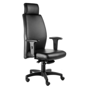 Poltrona Basic Presidente