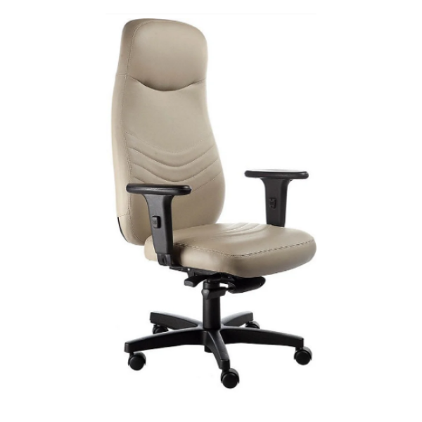 Poltrona Dishevel Presidente