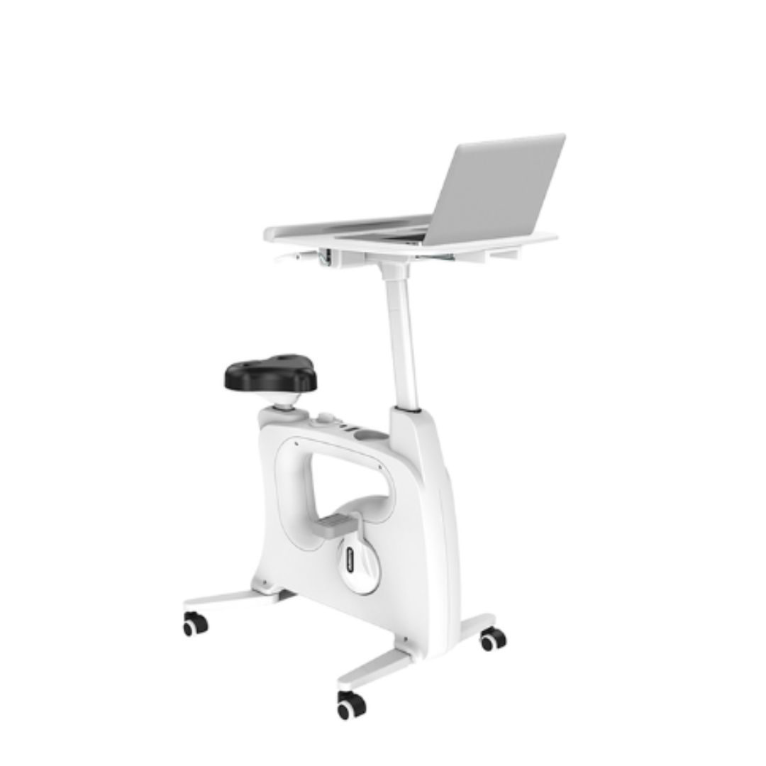 Bicicleta Ergonômica